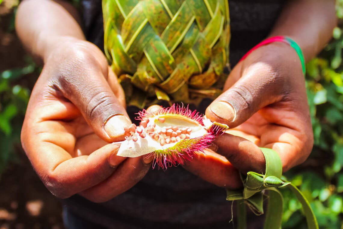 Zanzibar Spice Tour - annato