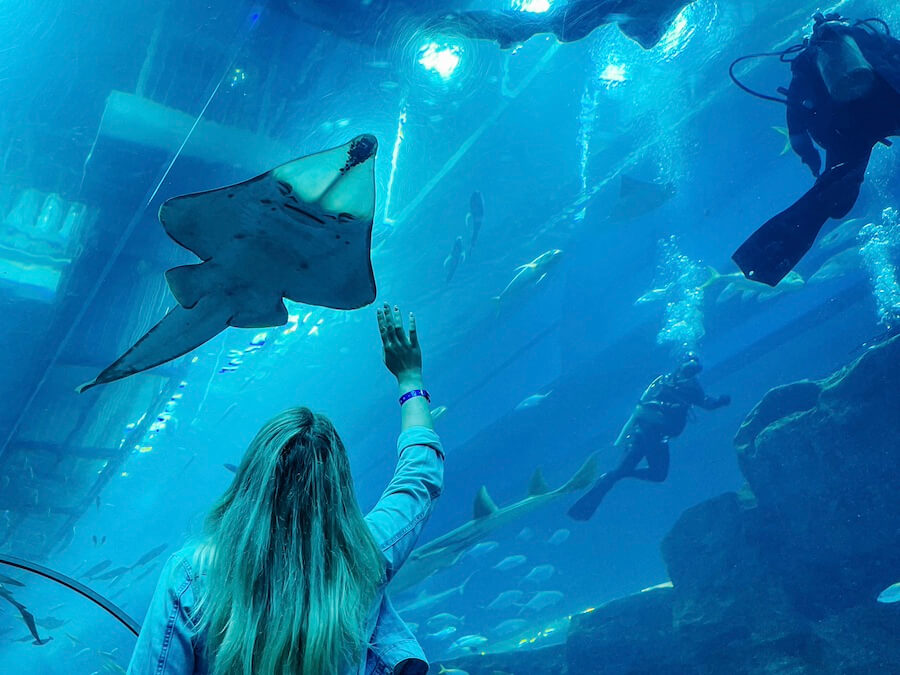 Obří akvárium v Dubai Mall a zážitky co vidět v Dubaji s dětmi.