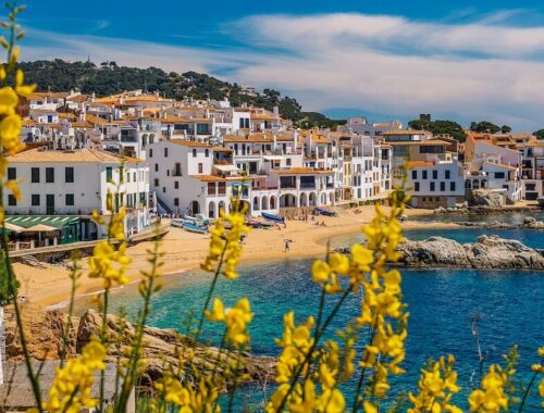 Tradiční bílé domečky v Calella de Palafrugell s výhledem na moře a rozkvetlé žluté keře.